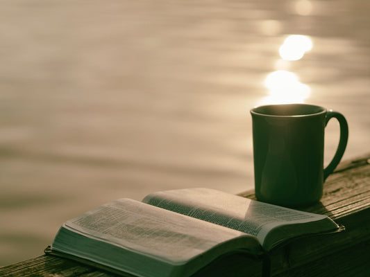 Why are morning routines so important to have a great day?
